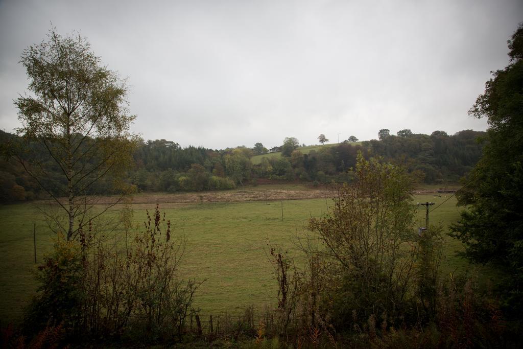 Tregynon Gregynog Hallゲストハウス エクステリア 写真